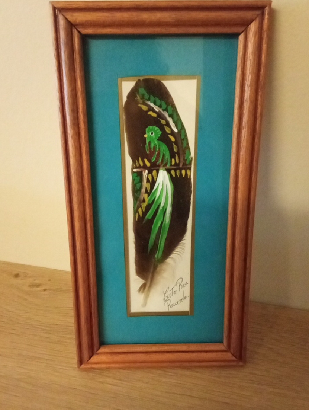 2for$20🧡Framed Feather Art with Green Parrot Motif